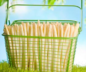 Pre-peeled white asparagus introduced in US