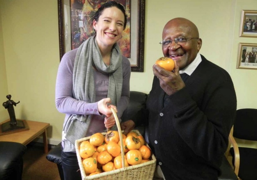 Bigger Sharon fruit crop for South Africa