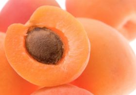 Apricot output ‘will not break records’