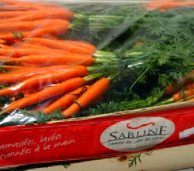 Prim'land prepares for new carrot crop