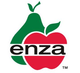 Enza apples arrive in Antwerp