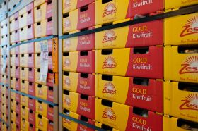 Zespri Gold sales positive