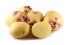 Australian group launches new potato