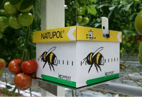 Koppert Biological opens Greek office