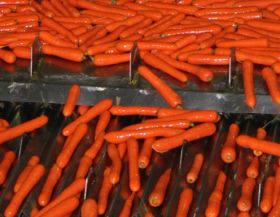 Israel ups organic carrot volumes