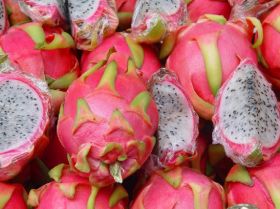 Vietnamese fresh exports smash target
