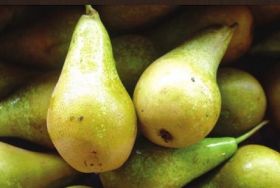 Dutch apple and pear crop down by third
