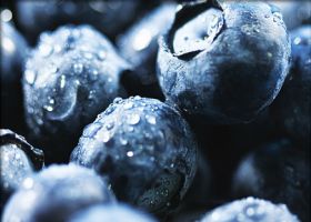 Peru ramps up berry production
