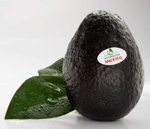 Mexico avocado from US halts