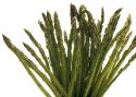Asparagus faces late headache