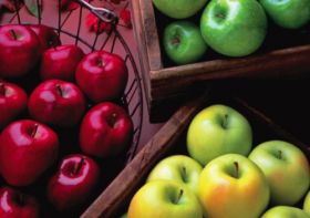 US apple crop expected to fall