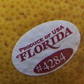Audio | Florida's fittest are prospering