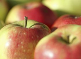 European apple crop 'below 10m tonnes'