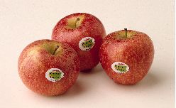 French apples off to strong start in Asia