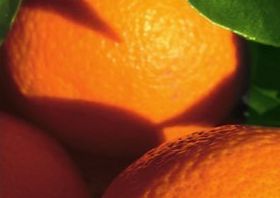 Bright outlook for Chilean citrus campaign