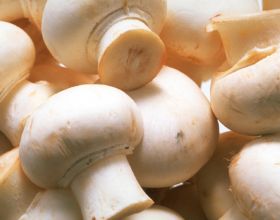 Lockdown cooking boosts mushroom sales