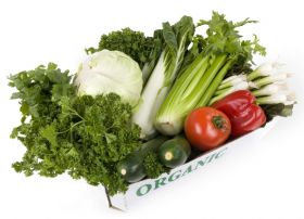Conventional yields higher than organic
