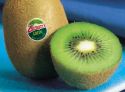 Kiwis under pressure