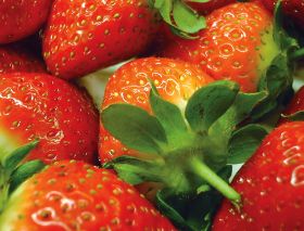 Spain sends out more strawberries