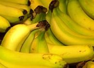 Peru is leading organic banana exporter