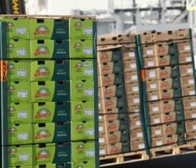 Hillfresh braced for NZ kiwifruit