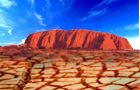 Drought takes toll on Australian navels