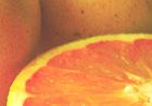 Firm market forecast for RSA grapefruit