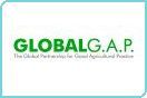 Four-year revision for GlobalGAP standard