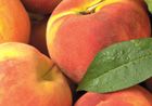 Slight rise for peaches