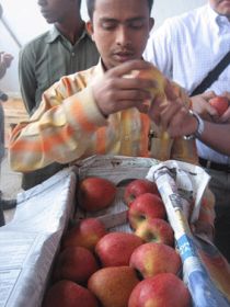 Kashmiri growers hail new trade route