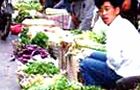 Food price hike drives inflation in China