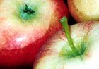 ABPM reports export fall