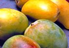 China gives go-ahead to Philippine mangoes