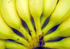 €1.3m for Suriname banana growers
