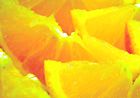 Citrus shortage looms in Europe