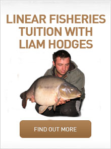 Liam-Tuition