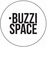 Buzzi Text logo small text